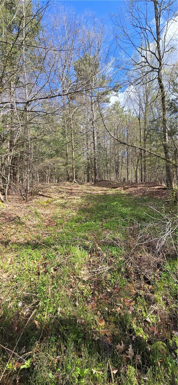 Bliss Gulf Road Oneonta, NY 13820 - Photo 11 of 20