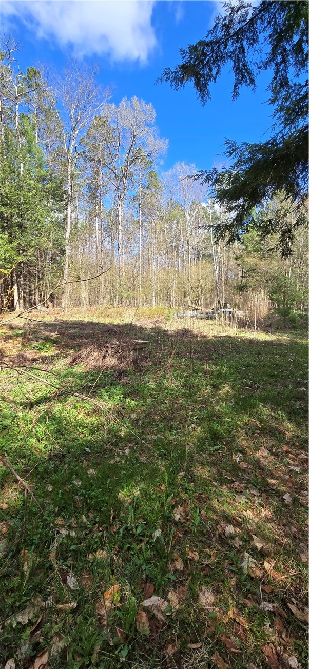 Bliss Gulf Road Oneonta, NY 13820 - Photo 14 of 20