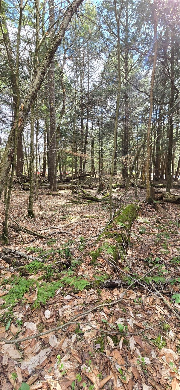 Bliss Gulf Road Oneonta, NY 13820 - Photo 15 of 20