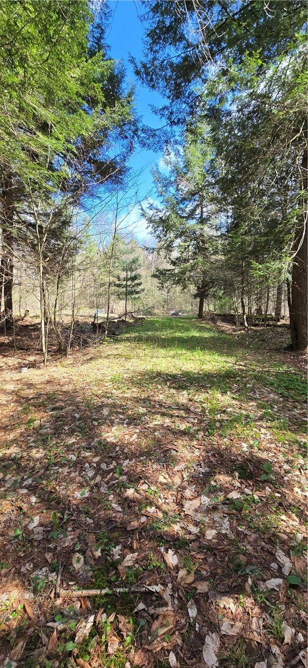 Bliss Gulf Road Oneonta, NY 13820 - Photo 17 of 20