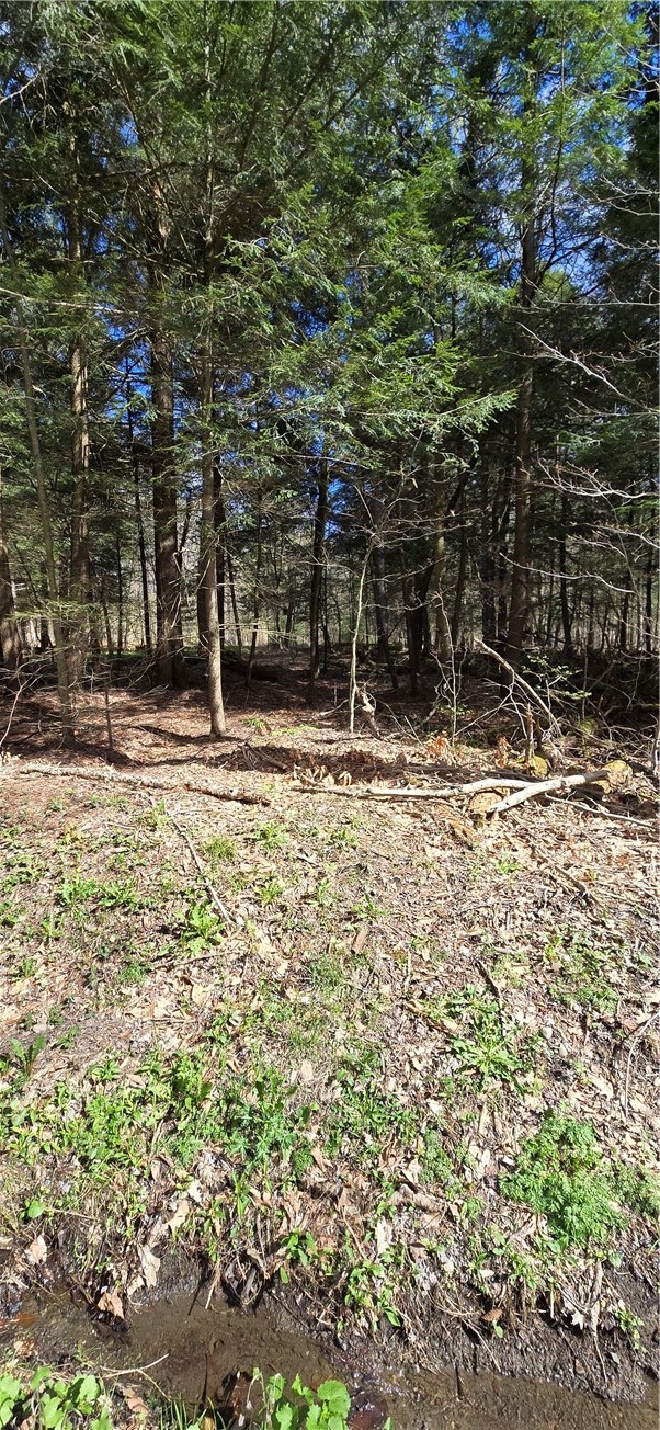 Bliss Gulf Road Oneonta, NY 13820 - Photo 18 of 20