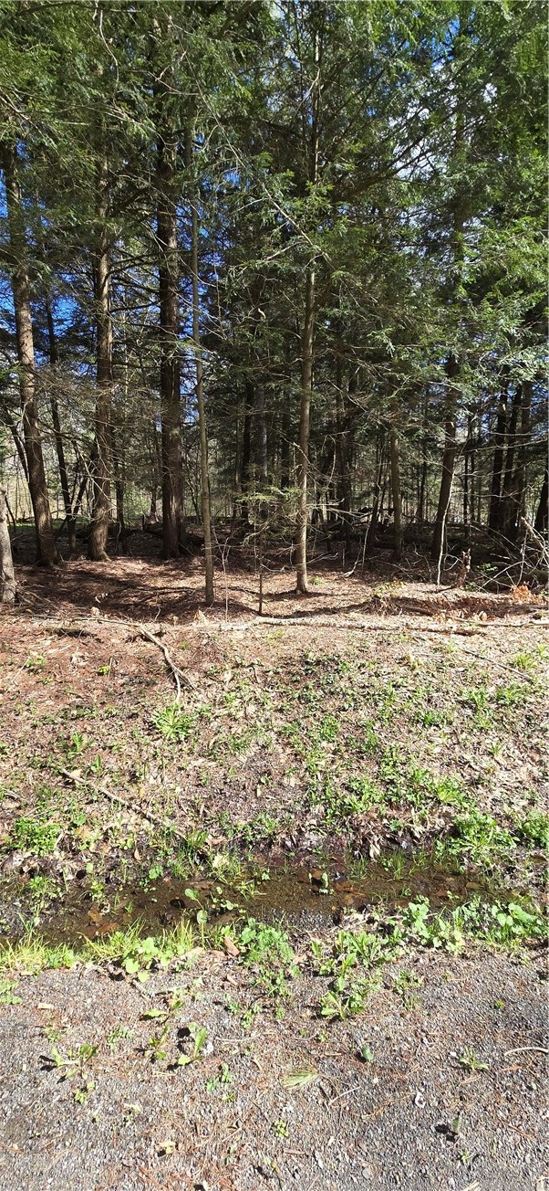 Bliss Gulf Road Oneonta, NY 13820 - Photo 19 of 20