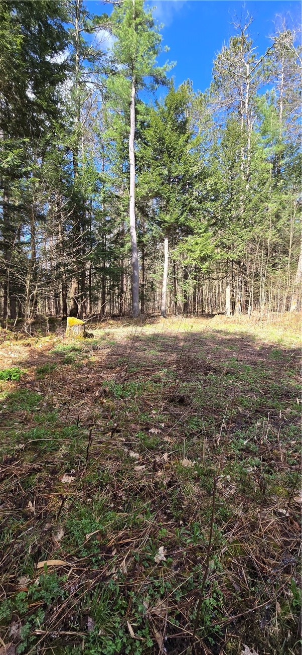 Bliss Gulf Road Oneonta, NY 13820 - Photo 2 of 20