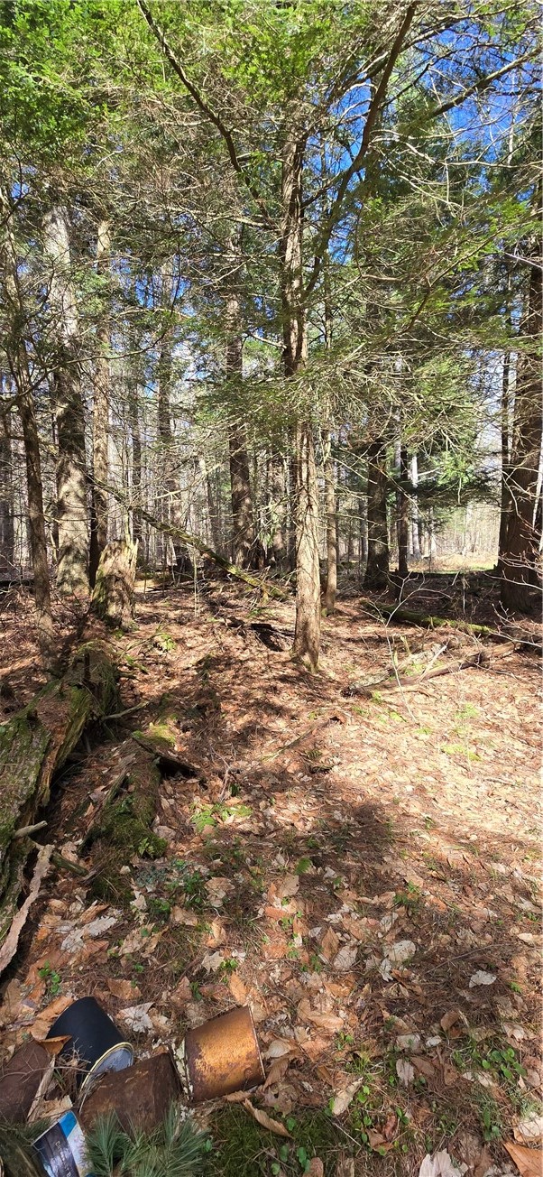 Bliss Gulf Road Oneonta, NY 13820 - Photo 4 of 20