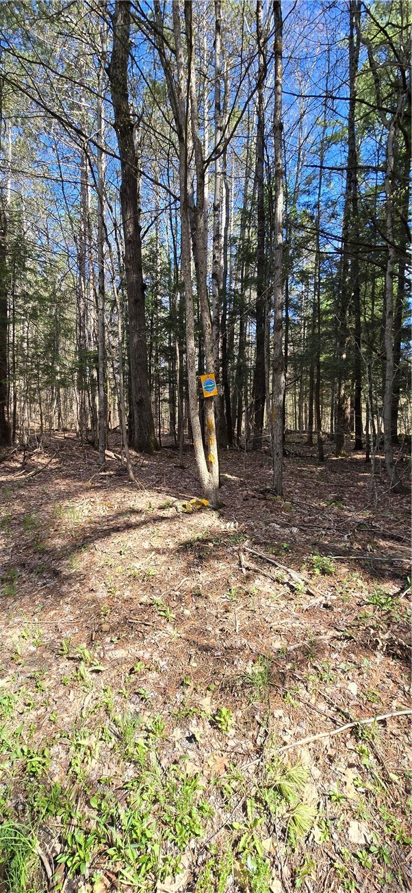 Bliss Gulf Road Oneonta, NY 13820 - Photo 6 of 20