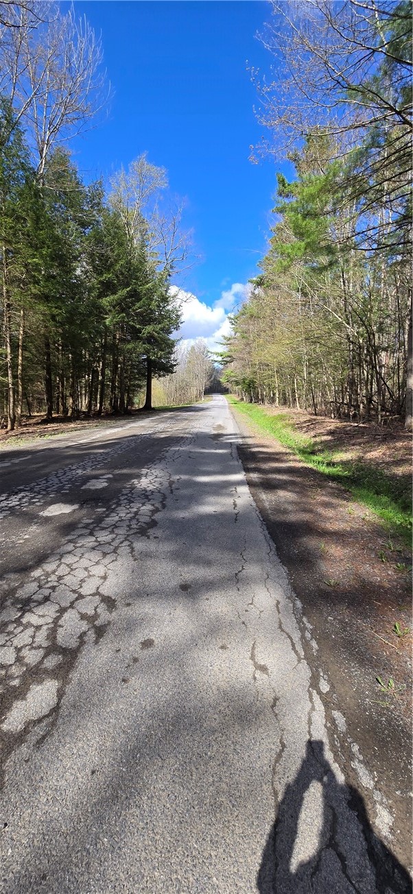 Bliss Gulf Road Oneonta, NY 13820 - Photo 8 of 20