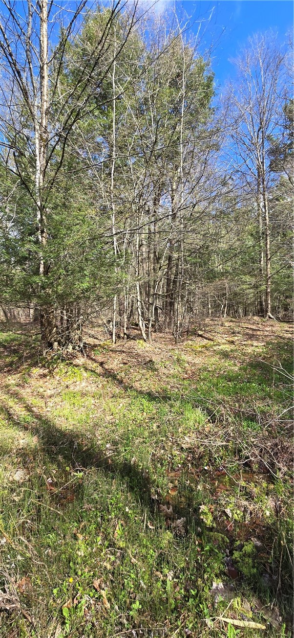 Bliss Gulf Road Oneonta, NY 13820 - Photo 9 of 20