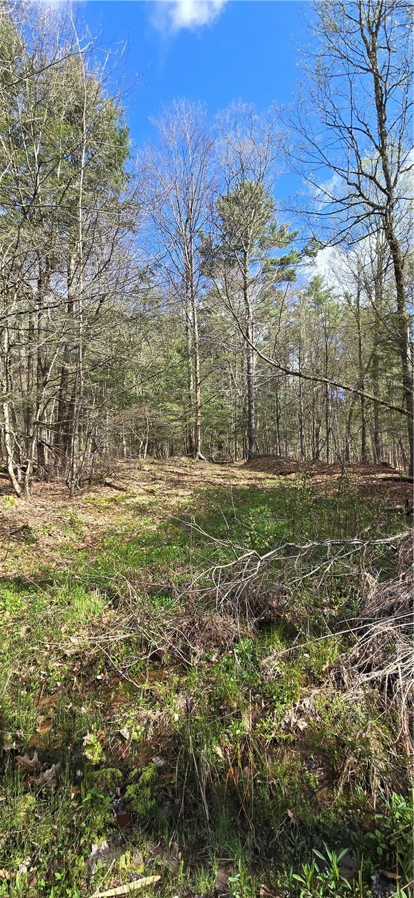 Bliss Gulf Road Oneonta, NY 13820 - Photo 10 of 20