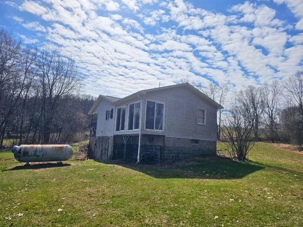 a backyard of a house with plants and large tree