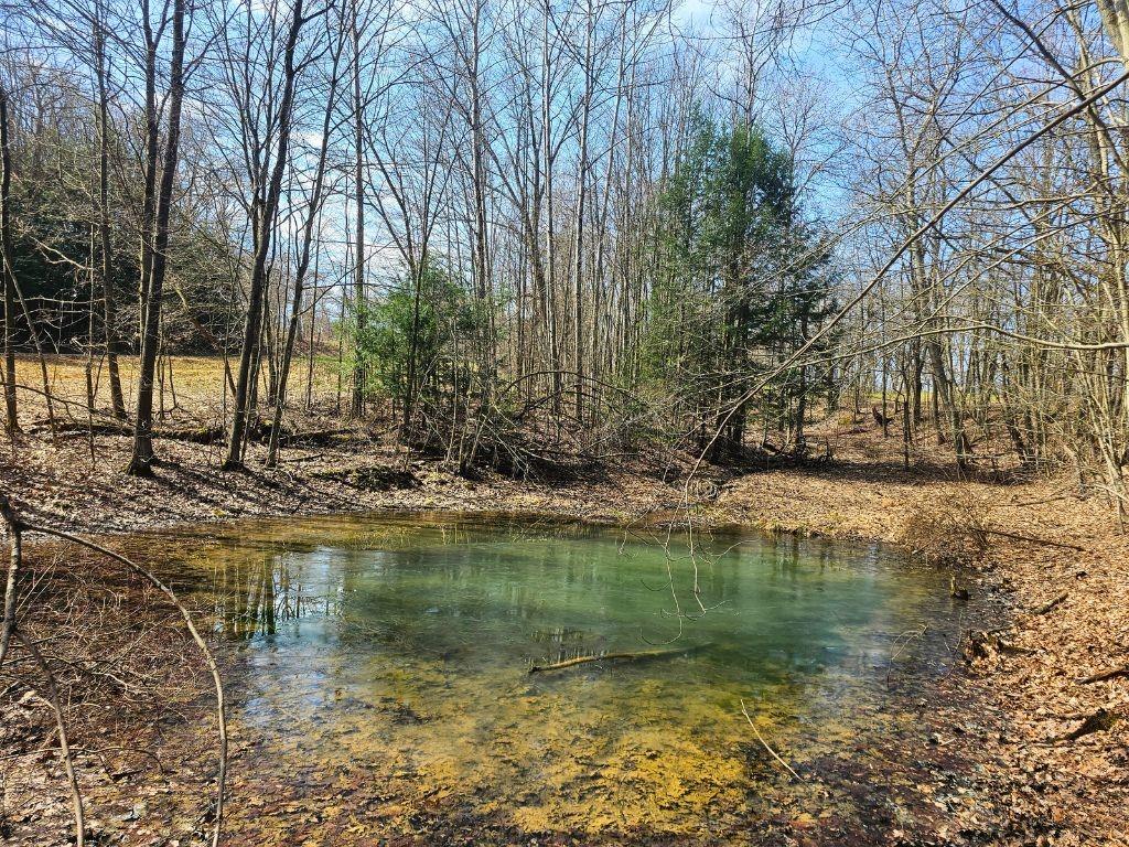 17562 Round Top Road Meadville, PA 16335 - Photo 5 of 24