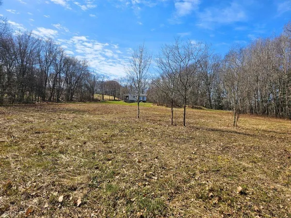 a view of empty yard with trees