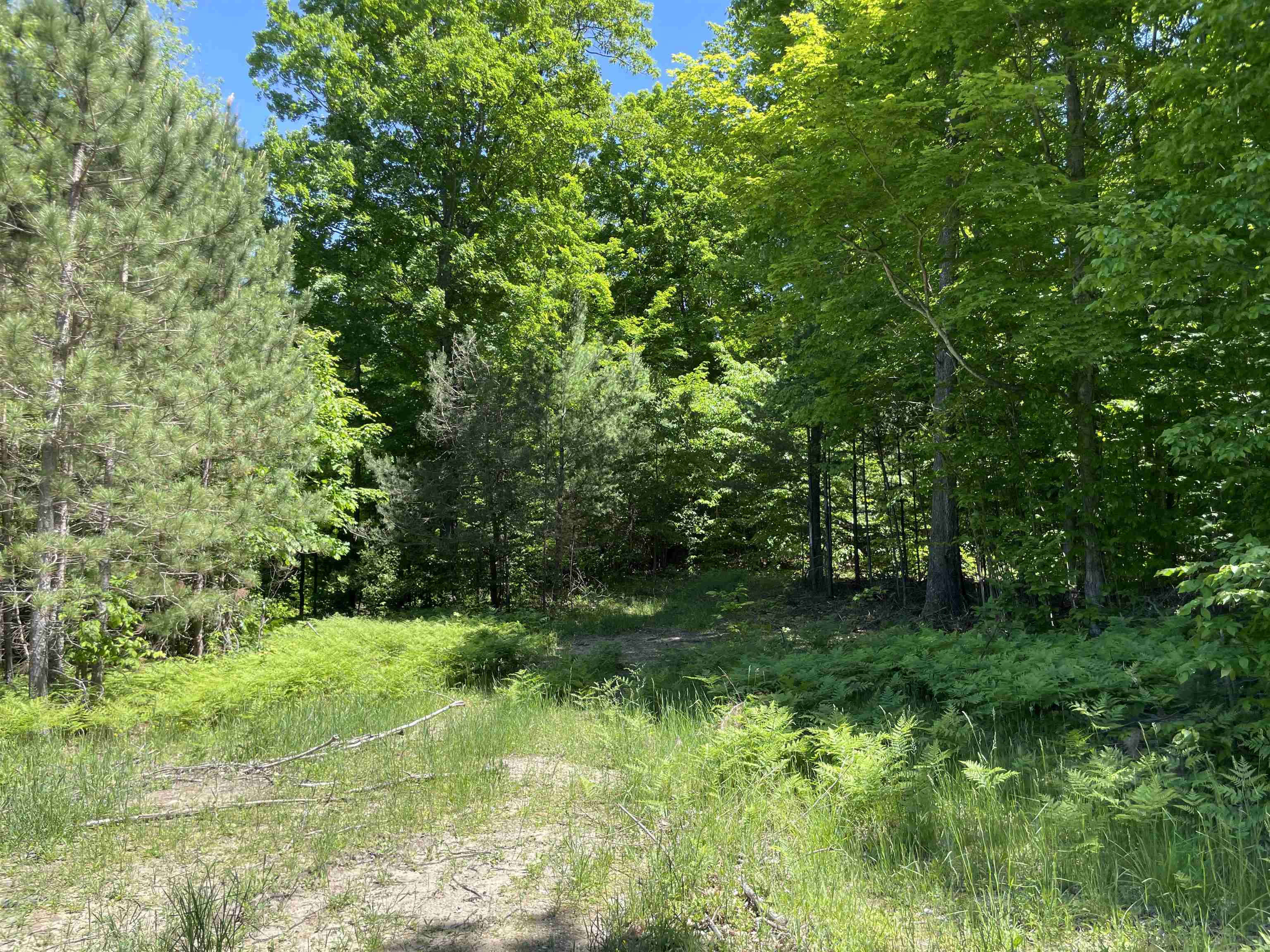 0 Hulls Road Copemish, MI 49625 - Photo 1 of 14 1900691.JPG