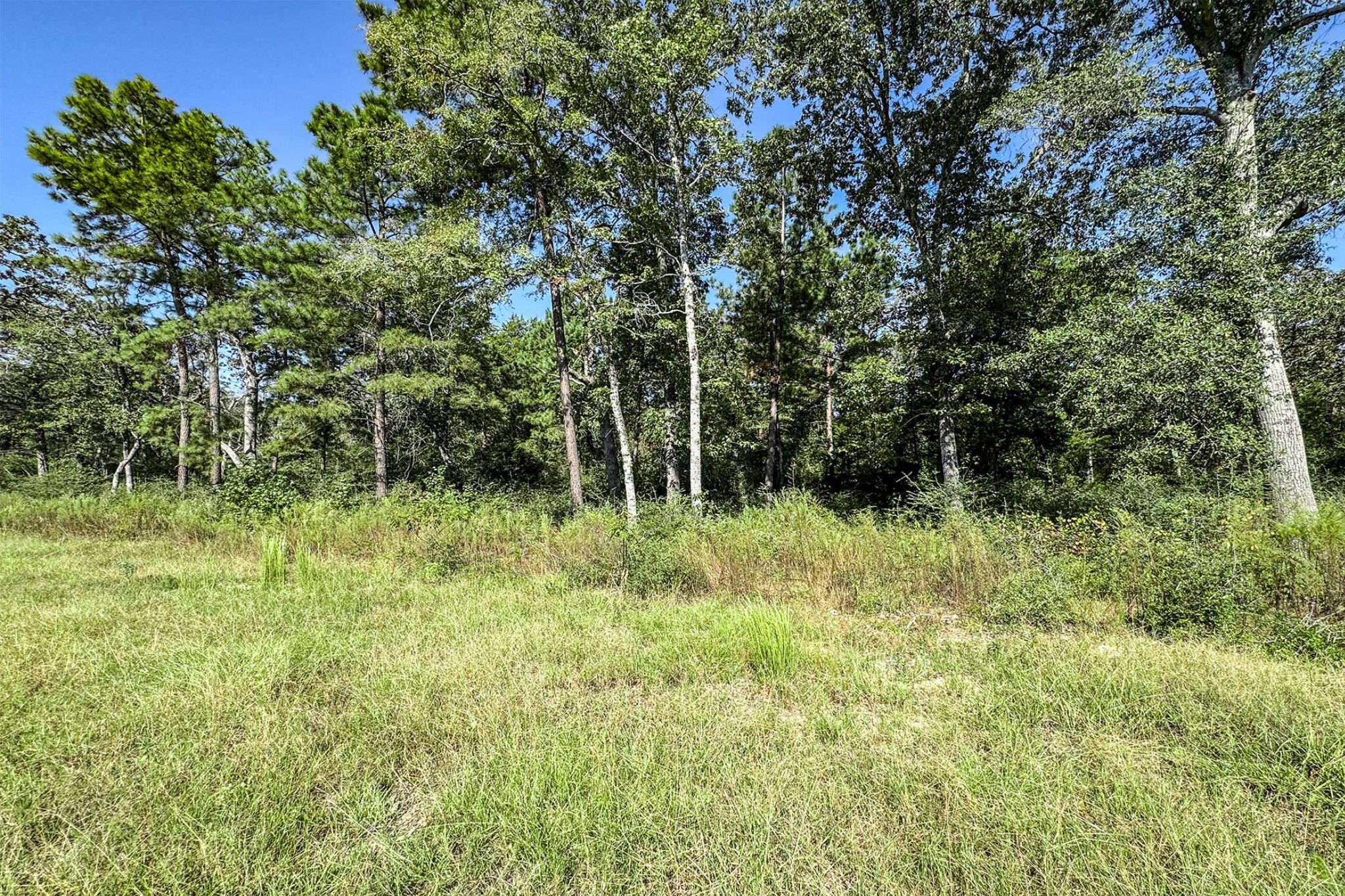 10-acres 10-acres Ranch Centerville, TX 75833 - Photo 6 of 8