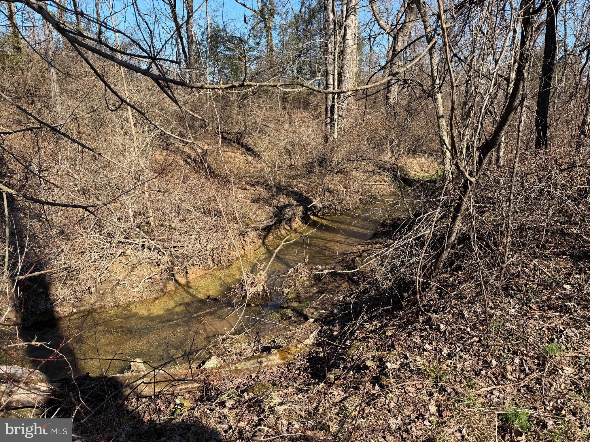 728 Piketown Road Harrisburg, PA 17112 - Photo 3 of 15 a backyard of a house