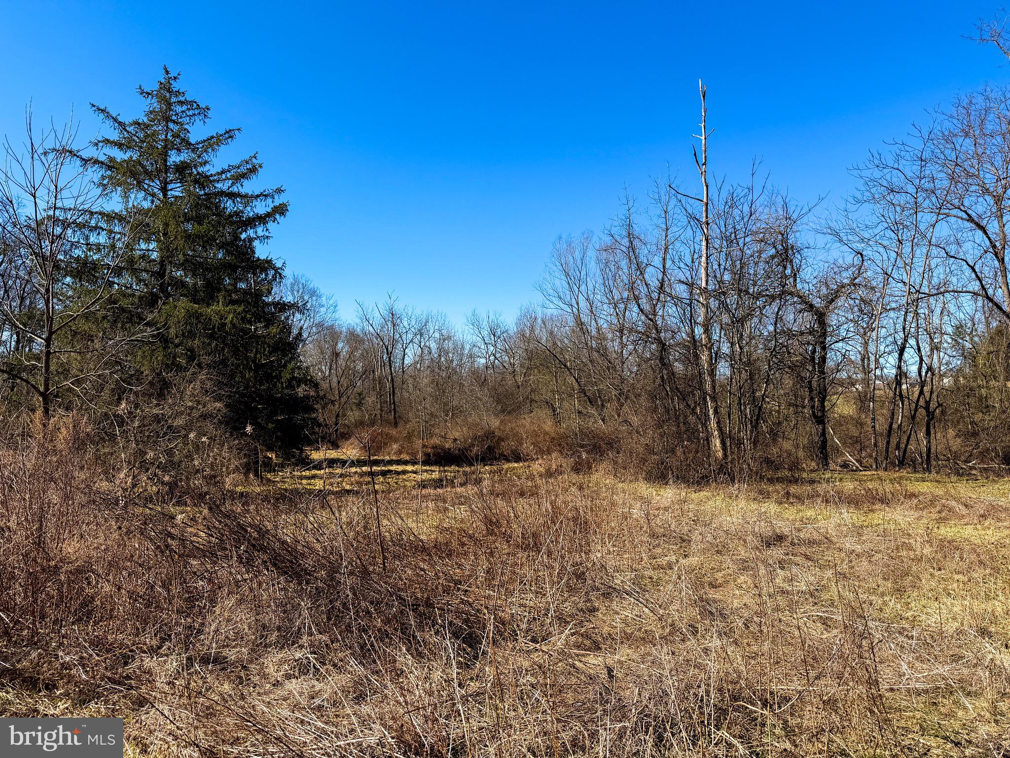 728 Piketown Road Harrisburg, PA 17112 - Photo 4 of 15 a view of a yard with trees in the background