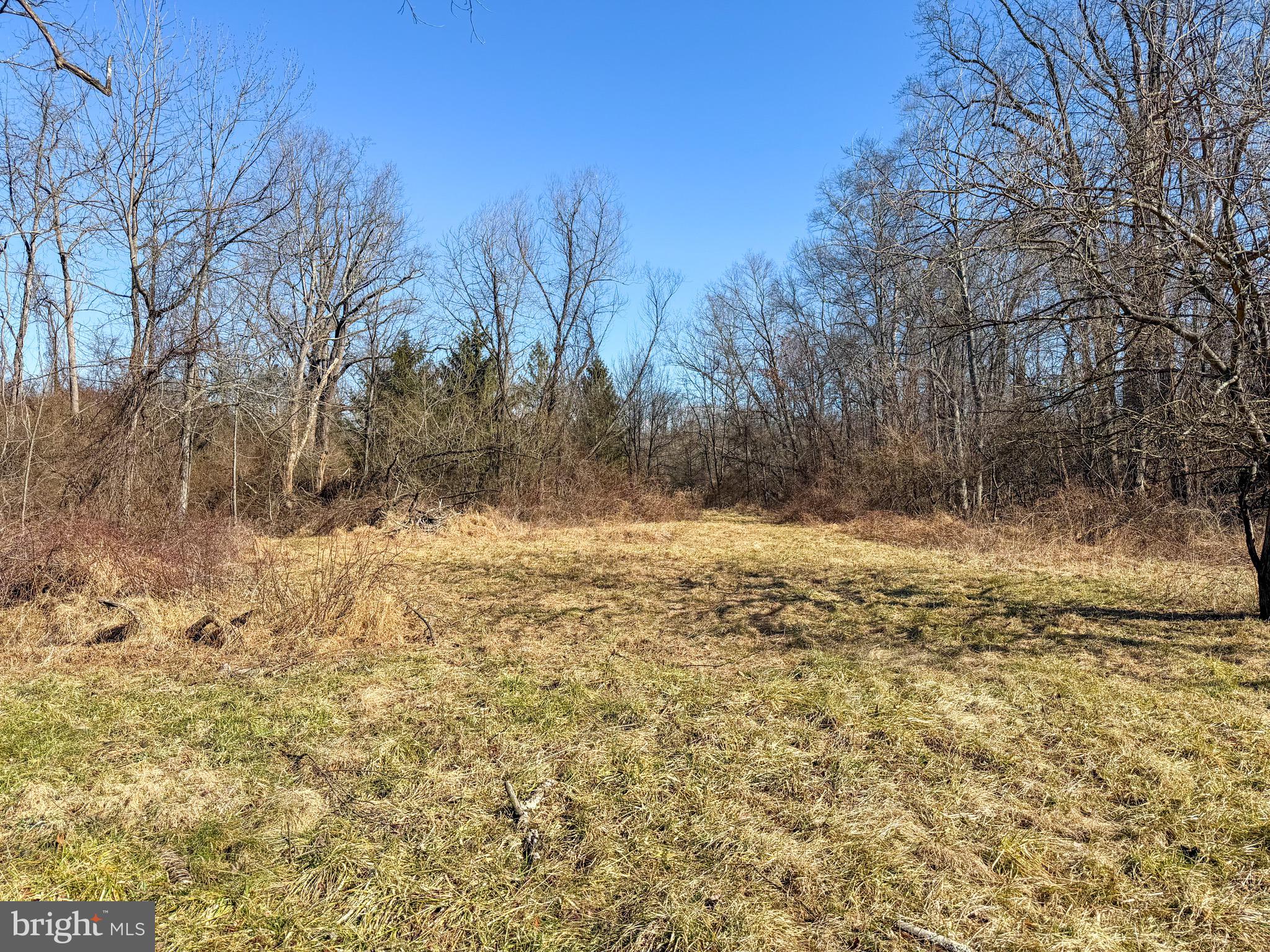 728 Piketown Road Harrisburg, PA 17112 - Photo 6 of 15 a view of snow covered with snow