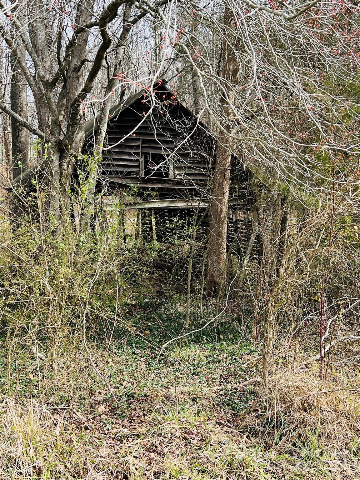 3425 Zion Church Road Hickory, NC 28602 - Photo 29 of 42