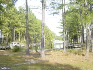 0 Thomas Long Road Crisfield, MD 21817 - Photo 1 of 3 Gallery Image 1