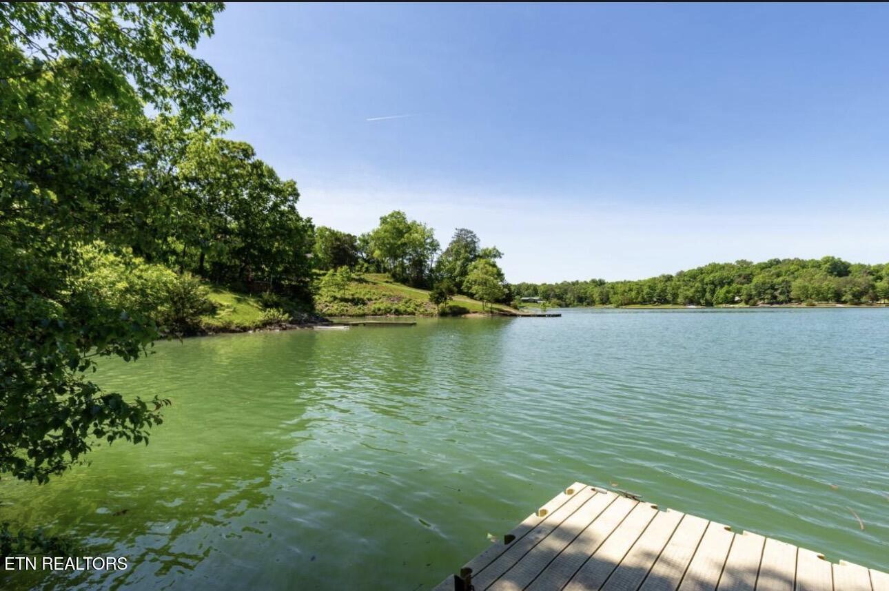 2145 Stillhouse Road Dandridge, TN 37725 - Photo 7 of 36 Dock