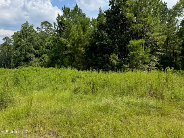 $75,000 | Nhn Darby Lane, Carriere, MS 39426