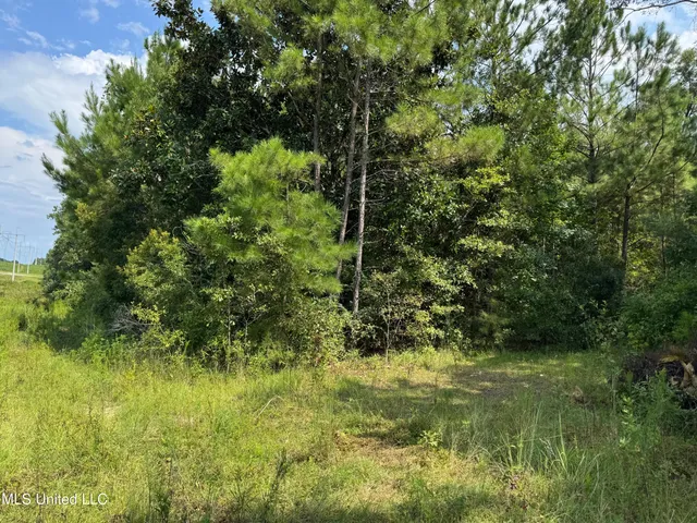 $75,000 | Nhn Darby Lane, Carriere, MS 39426