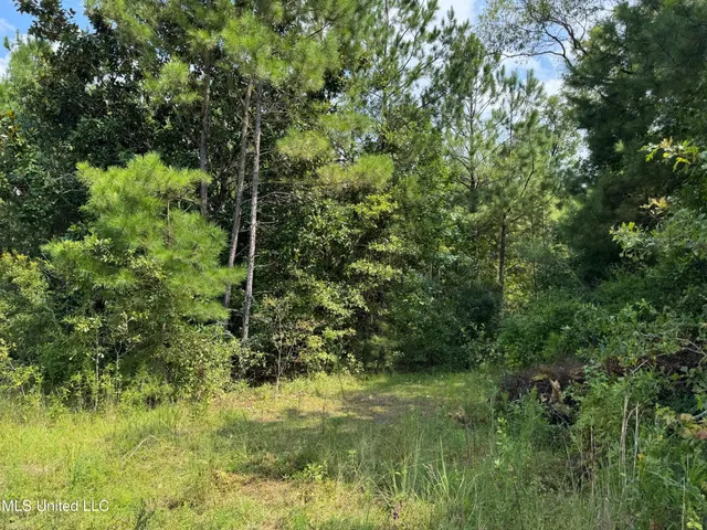 $75,000 | Nhn Darby Lane, Carriere, MS 39426