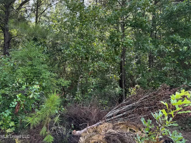 $75,000 | Nhn Darby Lane, Carriere, MS 39426