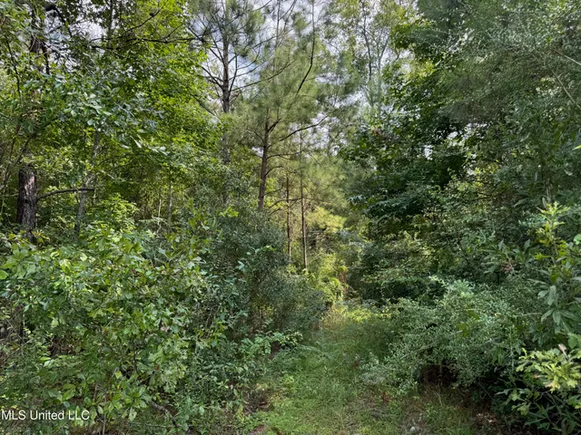 $75,000 | Nhn Darby Lane, Carriere, MS 39426
