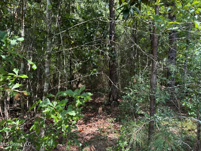 $75,000 | Nhn Darby Lane, Carriere, MS 39426