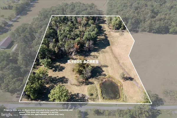 a view of yard with trees