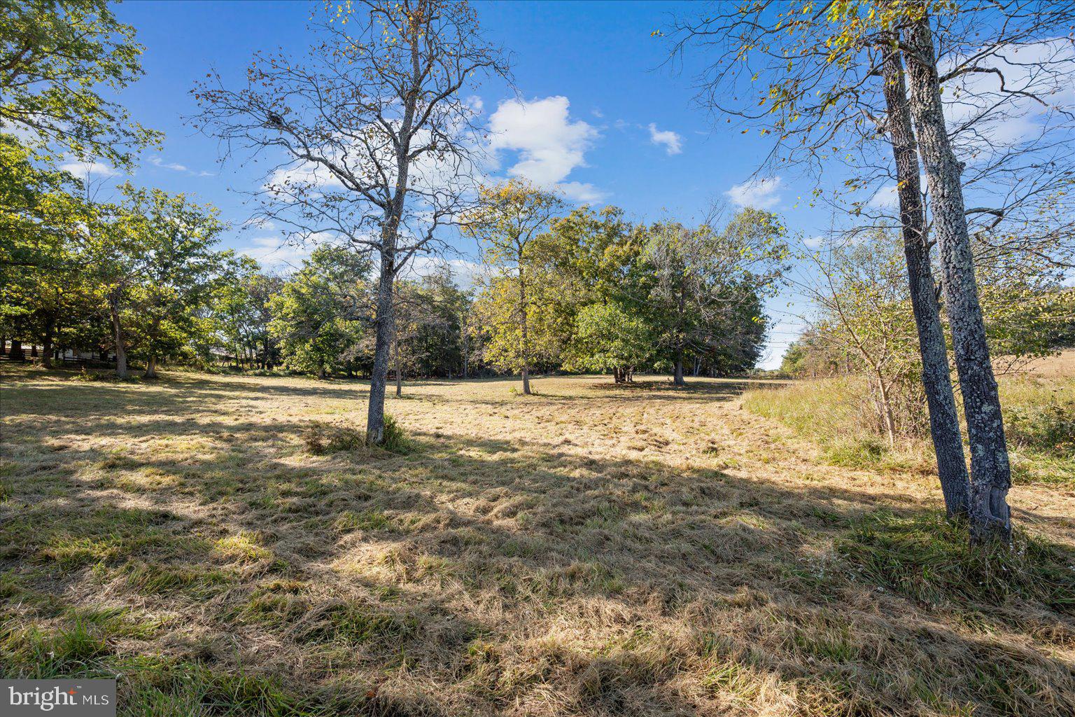 9 B Slate Lane Stephenson, VA 22656 - Photo 13 of 14 a view of yard with trees