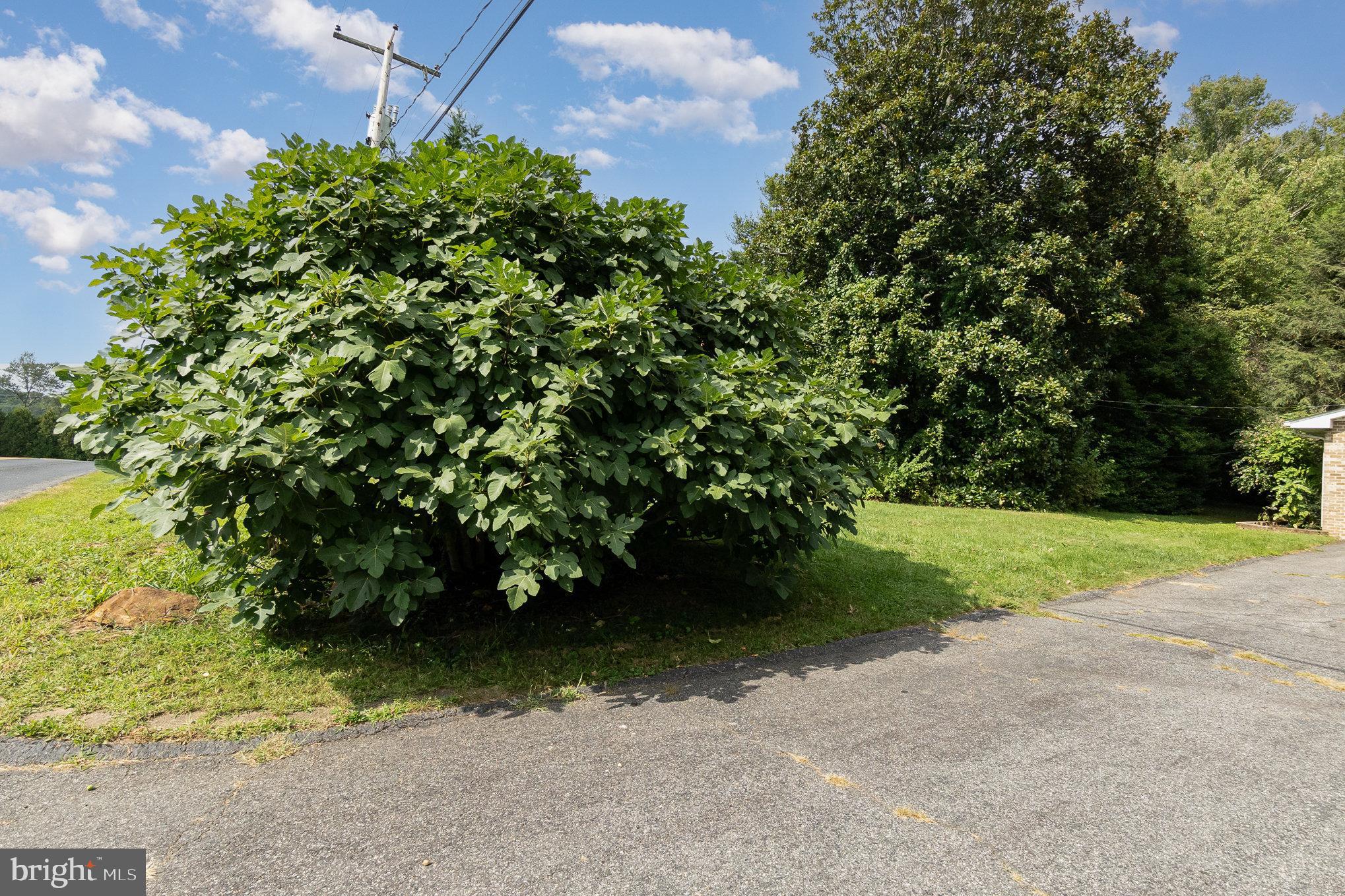 603 Wilgis Road Fallston, MD 21047 - Photo 56 of 59