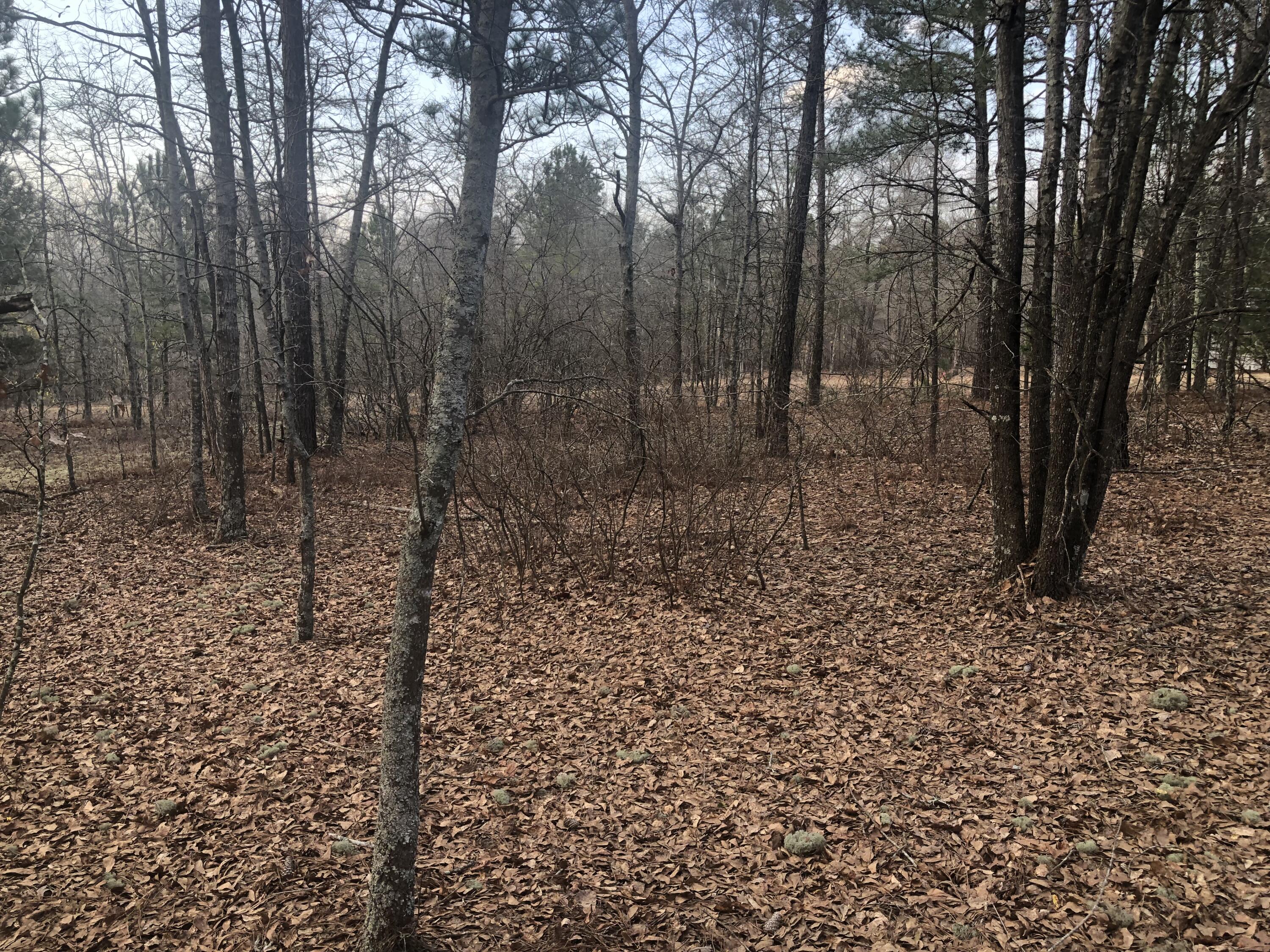 0 Coleman Bridge Road Northeast Aiken, SC 29801 - Photo 2 of 7