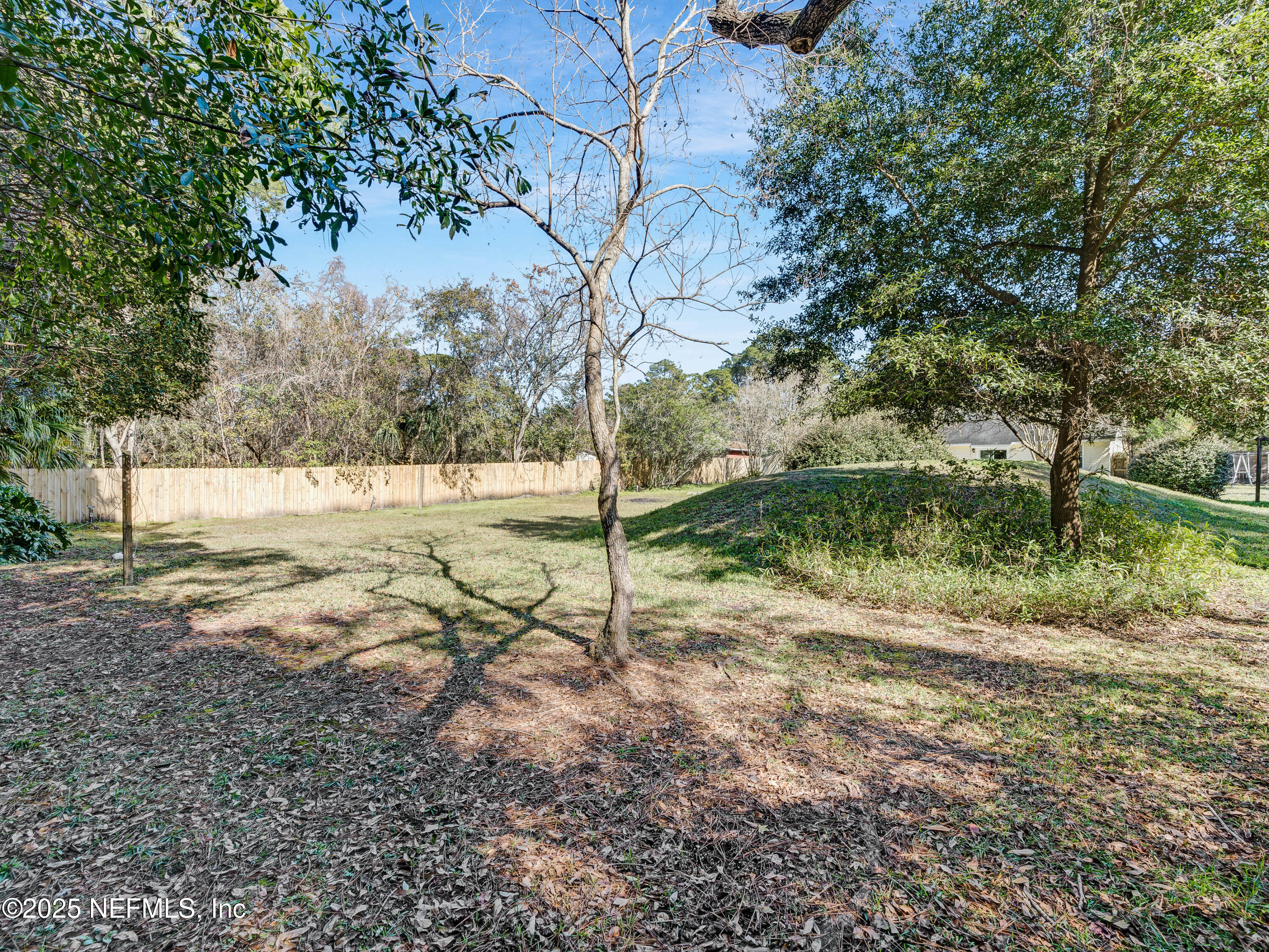 2750 Anniston Road Jacksonville, FL 32246 - Photo 38 of 41 backyard 6