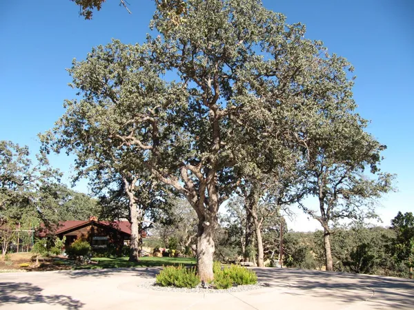 $2,850,000 | 26000 Venado Drive, Winters, CA 95694