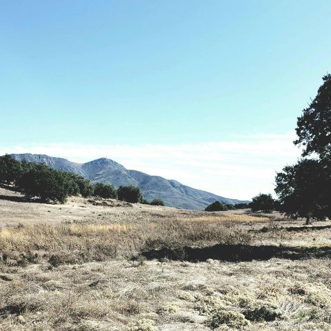 a view of a field with a house in background