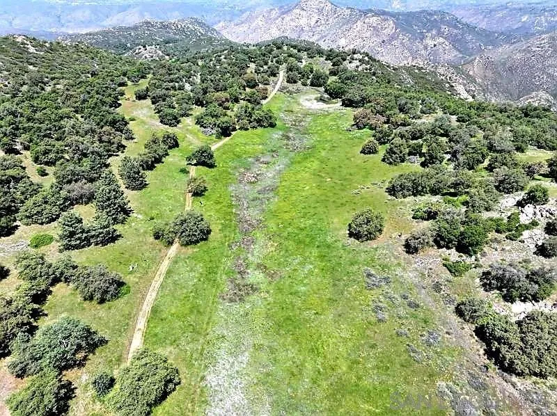 0 Tule Springs Road Julian, CA 92036 - Photo 4 of 44 a view of a garden with a plant