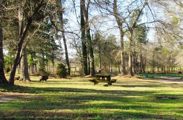 2779 Honey Ford Road Denmark, SC 29042 - Photo 27 of 31