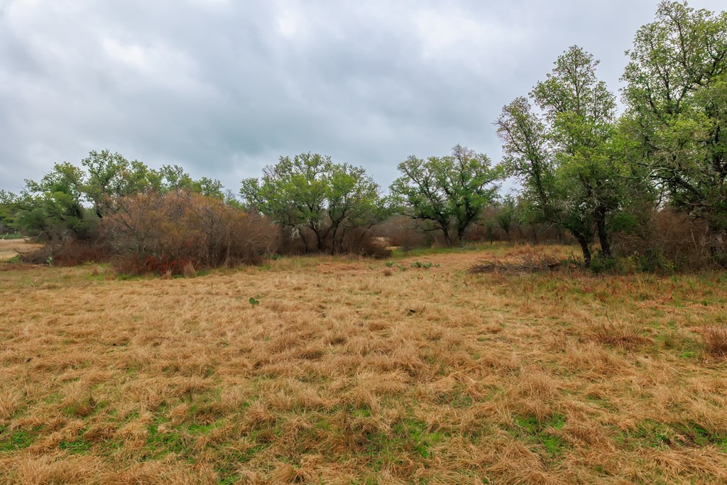 1755 County Road Brady, TX 76825 - Photo 17 of 28 Photo 17