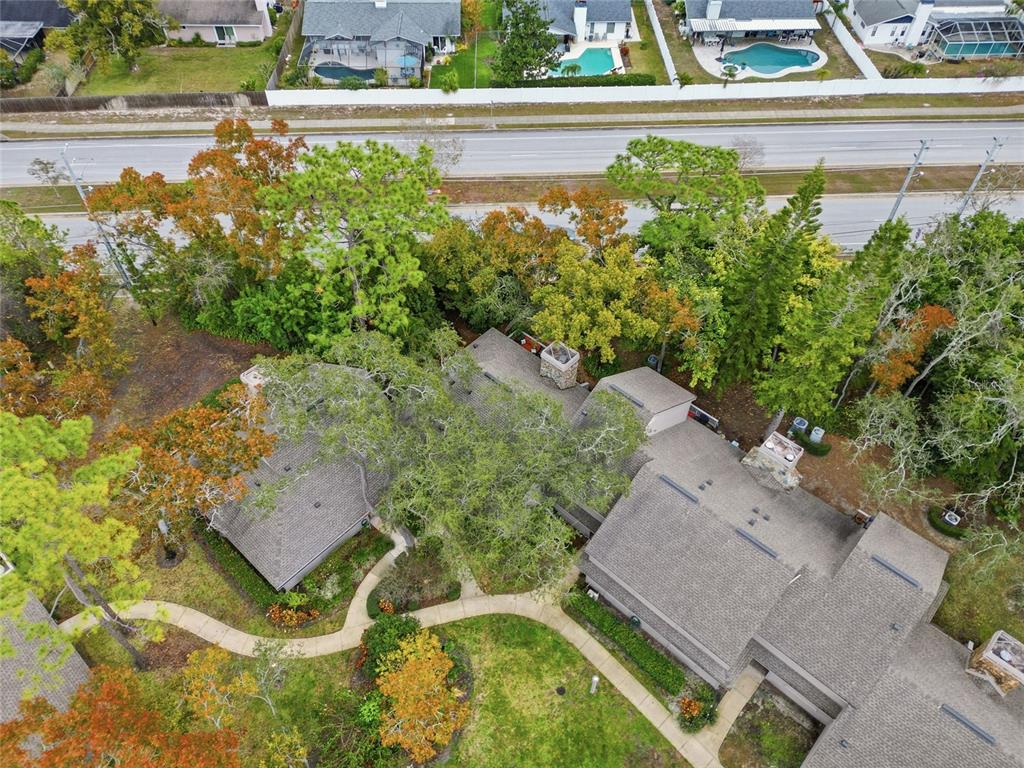 602 Old Mill Pond Road Palm Harbor, FL 34683 - Photo 25 of 29