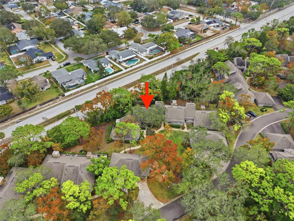 602 Old Mill Pond Road Palm Harbor, FL 34683 - Photo 26 of 29