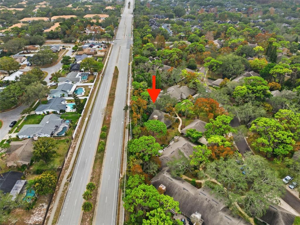 602 Old Mill Pond Road Palm Harbor, FL 34683 - Photo 27 of 29