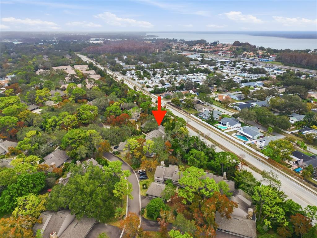 602 Old Mill Pond Road Palm Harbor, FL 34683 - Photo 28 of 29