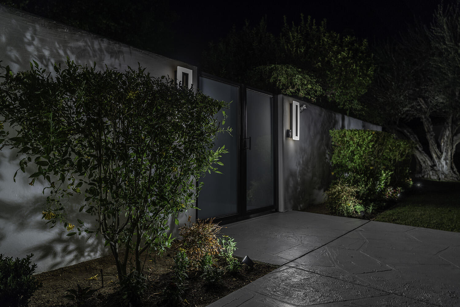 45731 Paradise Valley Road Indian Wells, CA 92210 - Photo 28 of 41 a couple of flower plants in backyard of house