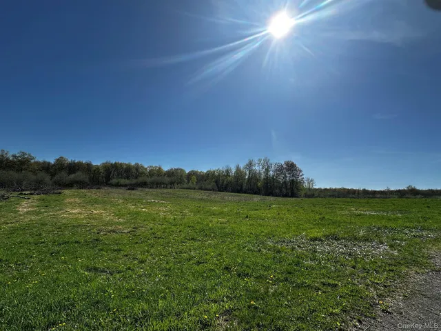 a view of an ocean and a yard