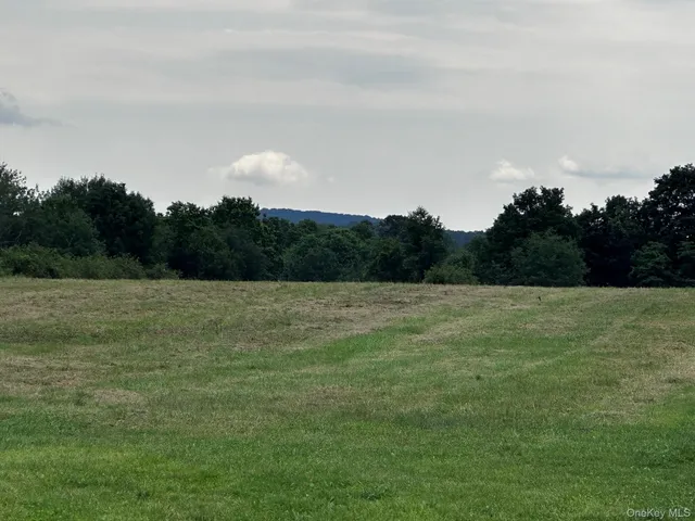 a view of a field of grass and trees