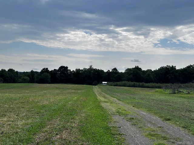 a view of an ocean and a yard