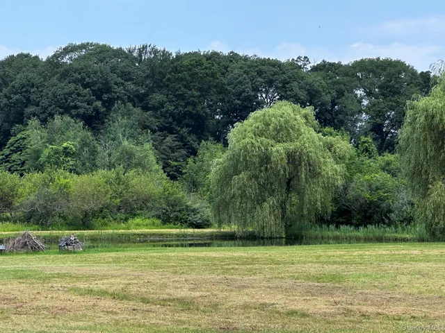a view of a grassy field with trees in the background