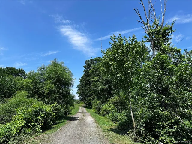 a view of a garden with a lake