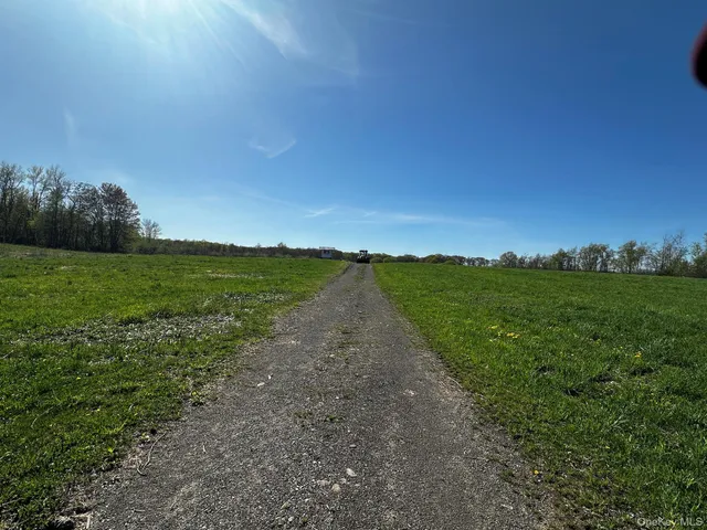 a view of a field with an ocean